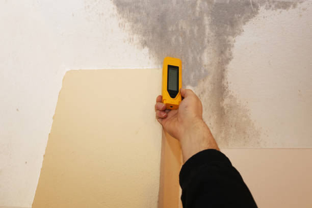Forensic Mold Investigation in Greensburg, PA